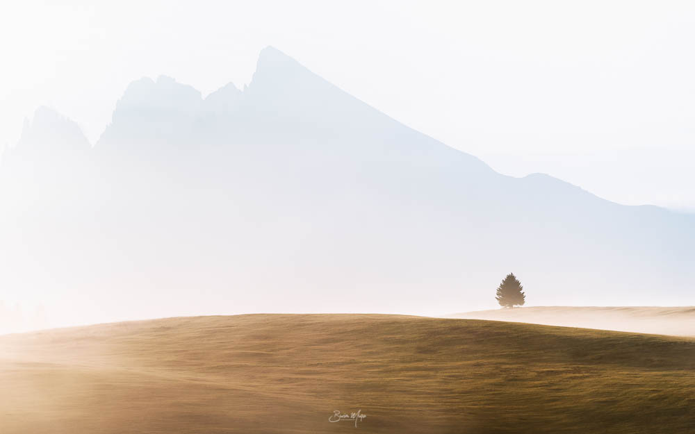 Foggy morning at Alpe di Siusi
